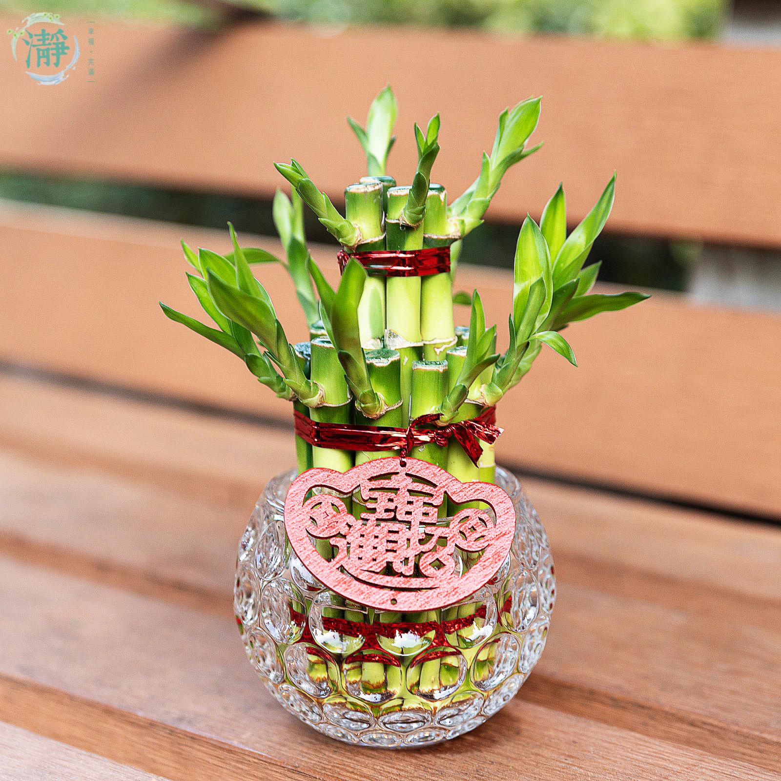 多層球 天球 龍 美術品 天球 多層球 龍 美術品