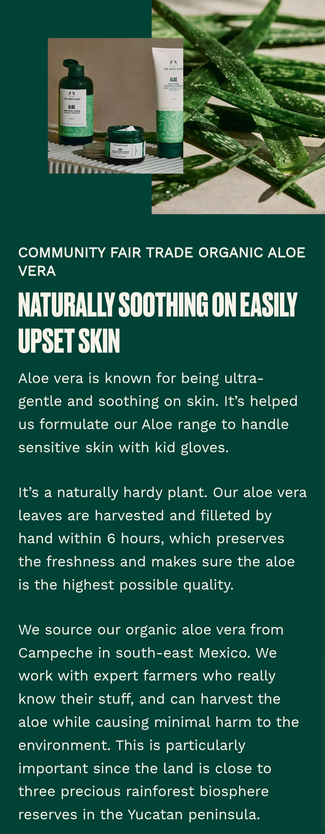aloe vera creme teneriffa Superdefense, Creme mit Aloe Vera von den Kanarischen Inseln:  Feuchtigkeitsspendend | Atlantia®