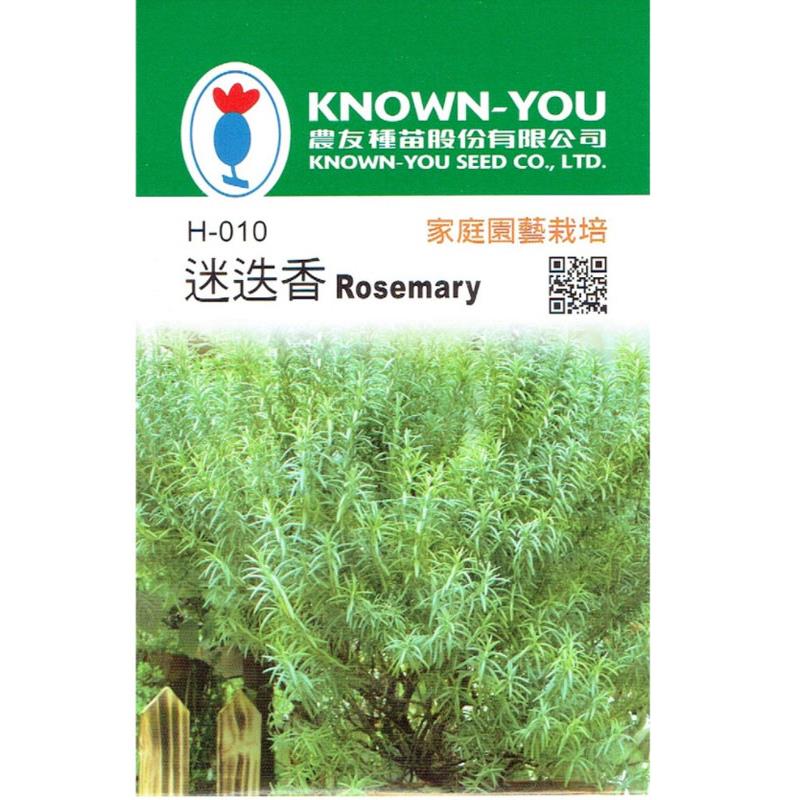 台灣種子-H-010 迷迭香