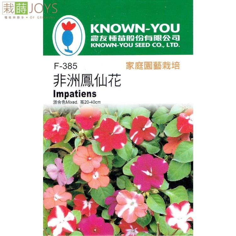 台灣種子-F-385 非洲鳳仙花