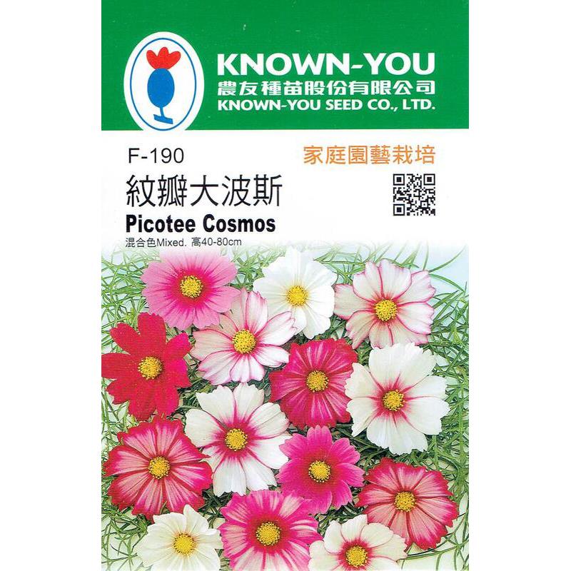 台灣種子-F-190 紋瓣大波斯 (混合色)