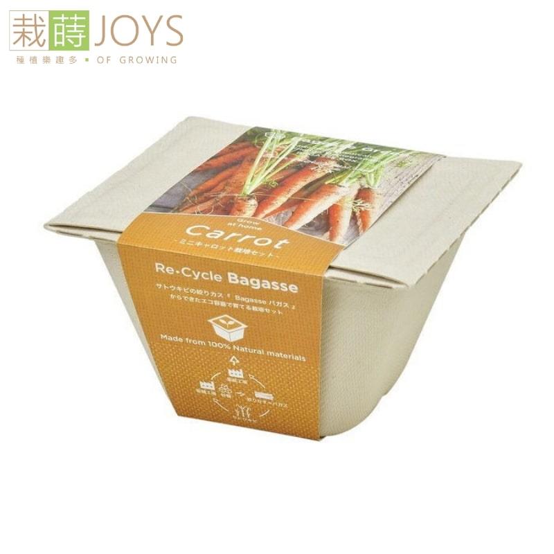 [網上專享優惠]種子套裝-GD-95302 BAGASSE GREEN ECO- 紅蘿蔔