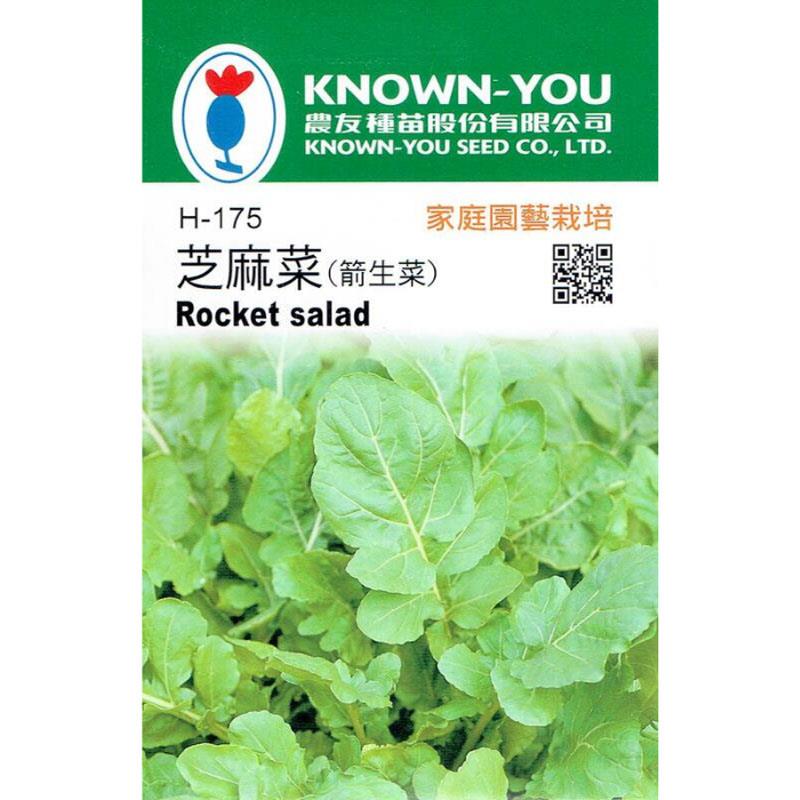 台灣種子-H-175 芝麻菜 (箭生菜)