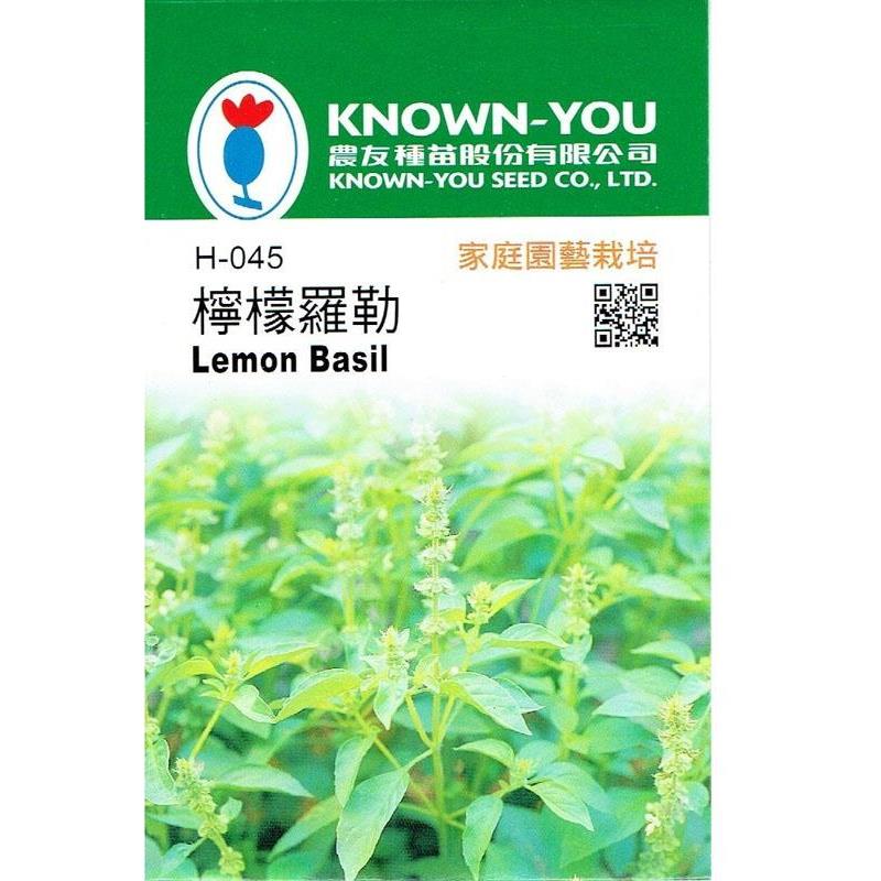 台灣種子-H-045 檸檬羅勒