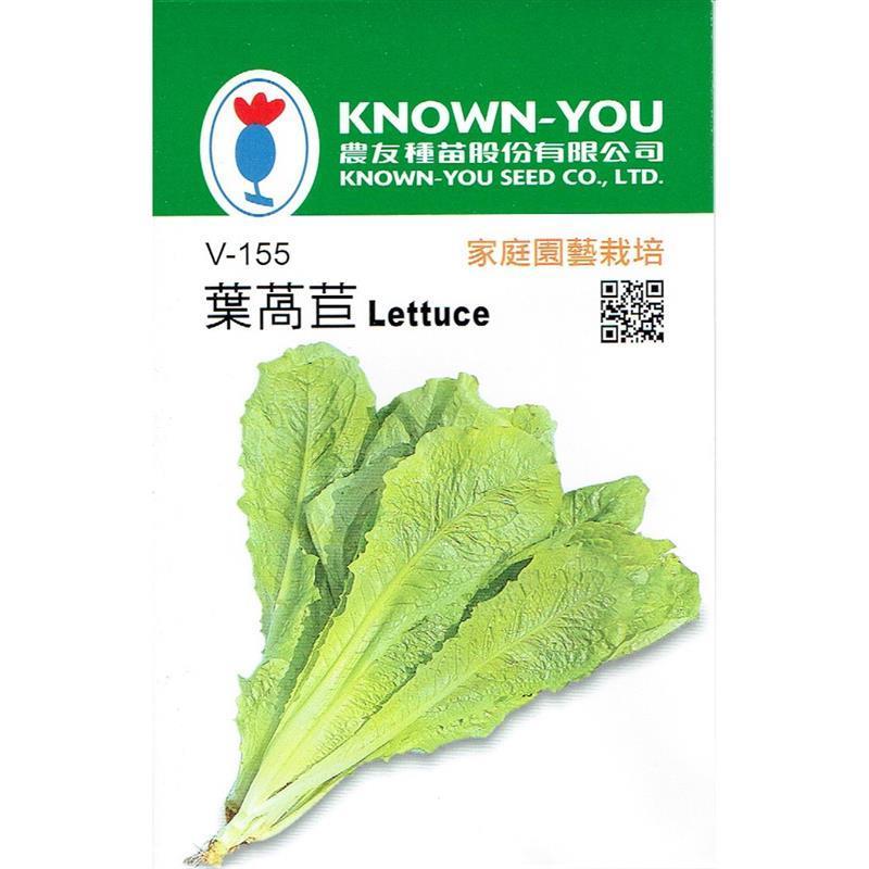 台灣種子-V-155 葉萵苣