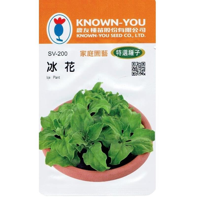 台灣種子-SV-200 冰花