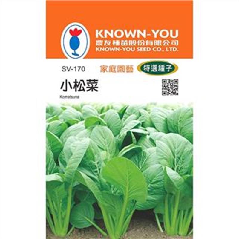 台灣種子-SV-170 小松菜