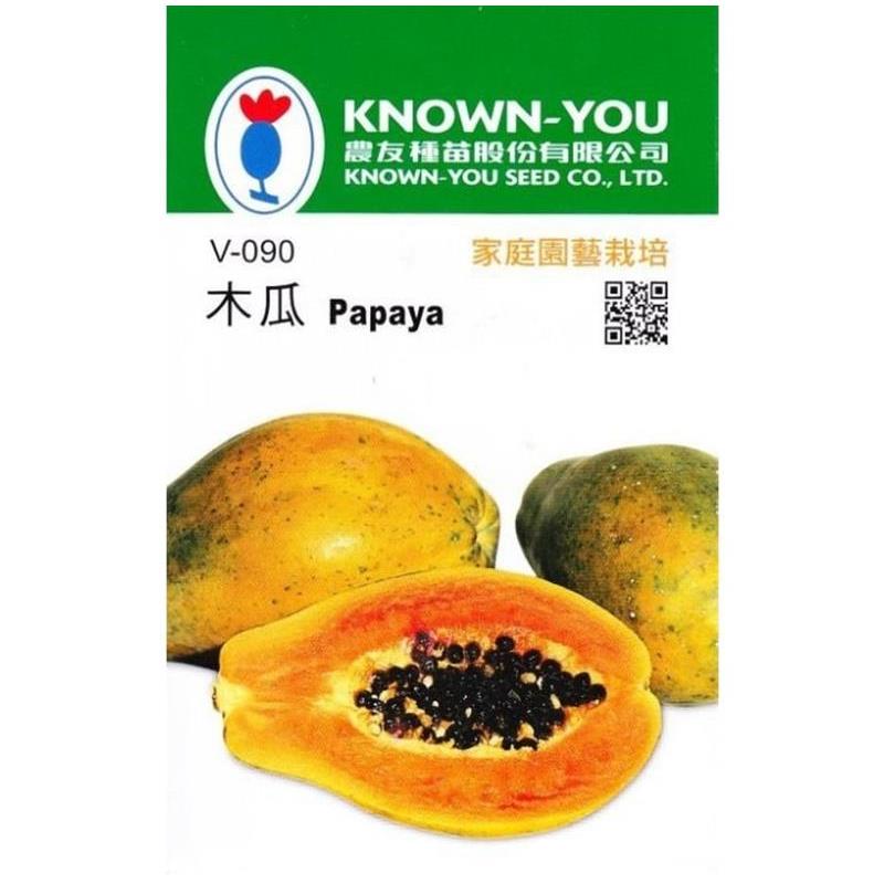 台灣種子-V-090 木瓜