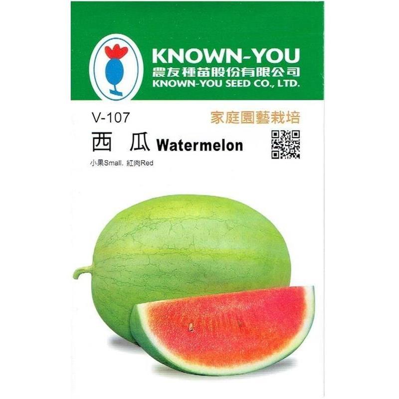台灣種子-V-107 西瓜 (小果-紅肉)
