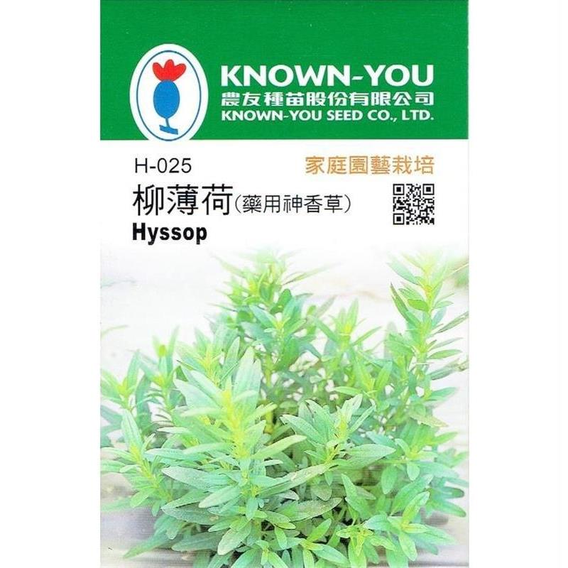 台灣種子-H-025 柳薄荷(藥用神香草)