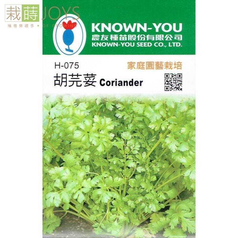 台灣種子-H-075 胡芫荽 (西洋香菜)
