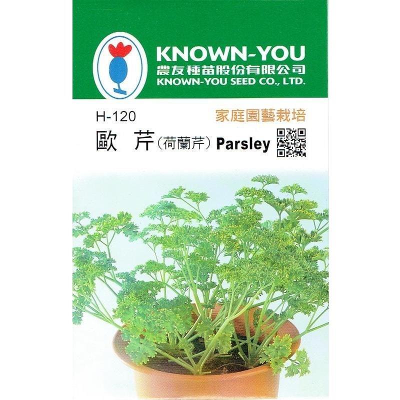 台灣種子-H-120 歐芹 (荷蘭芹)