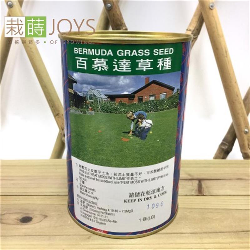 百慕達草種 1磅/罐