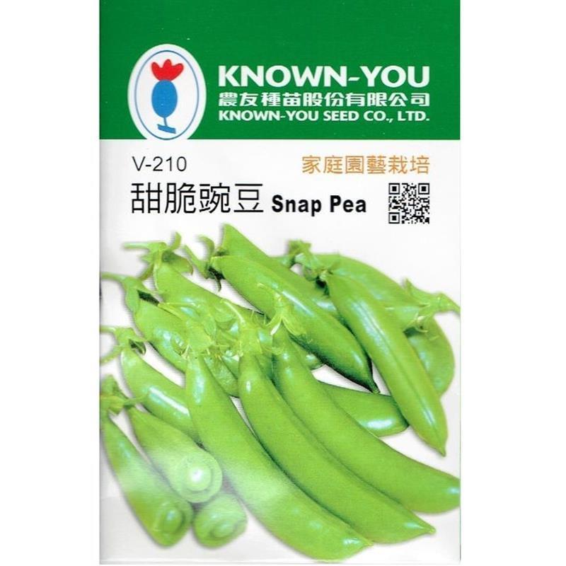 台灣種子-V-210 甜脆豌豆