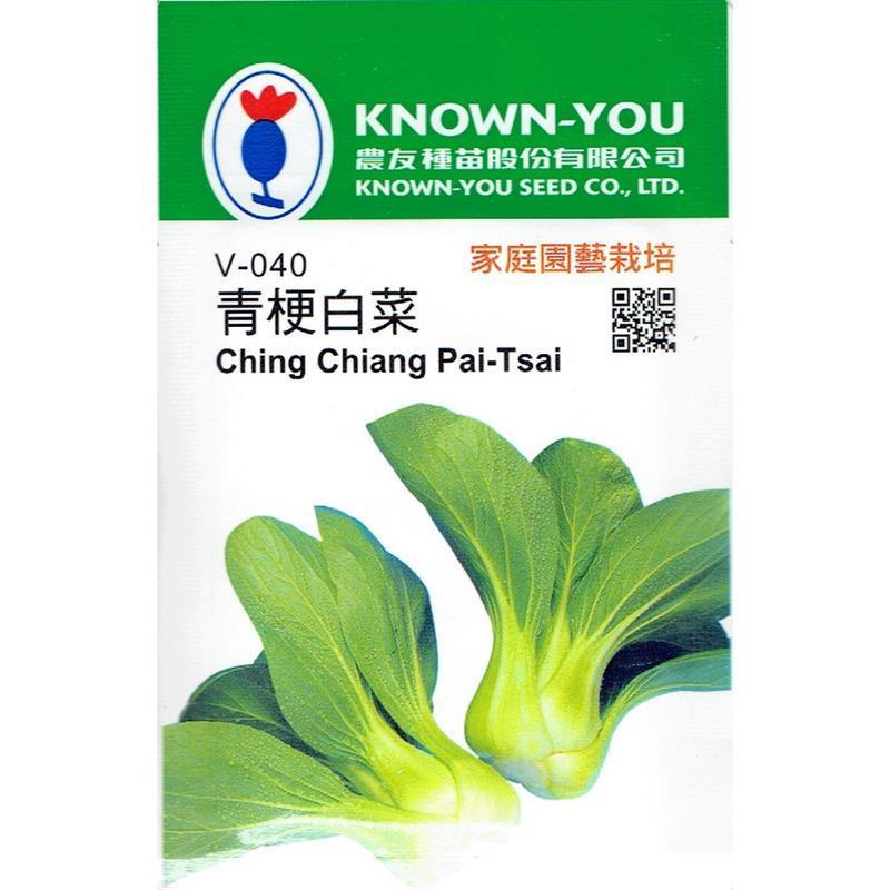 台灣種子-V-040 青梗白菜