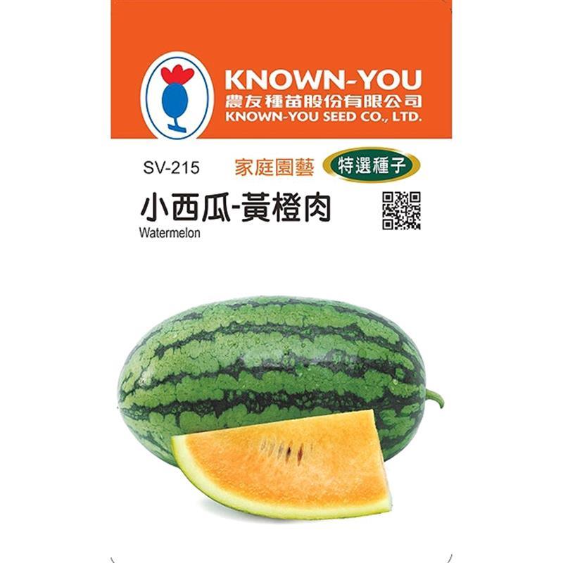 台灣種子-SV-215 小西瓜-黃橙肉
