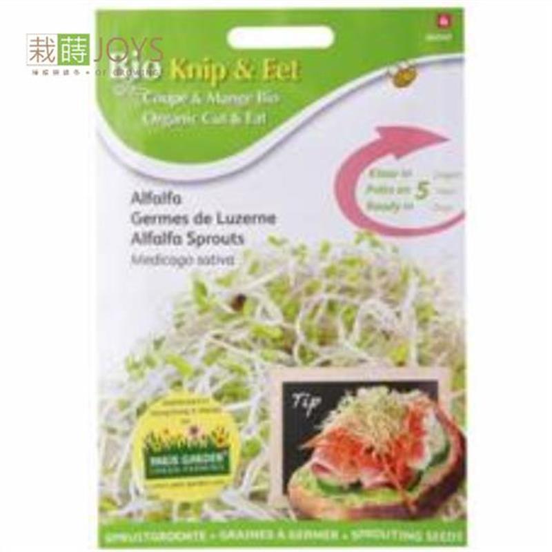 荷蘭有機種子-084040 苜蓿芽