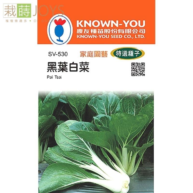台灣種子-SV-530 黑葉白菜
