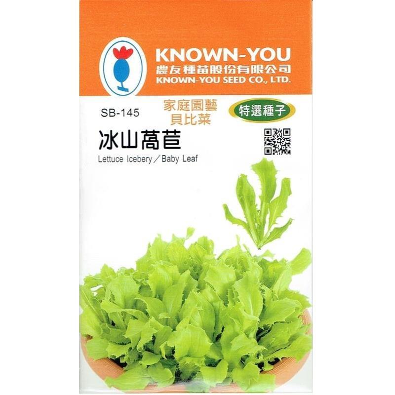 台灣種子-SB-145 冰山萵苣