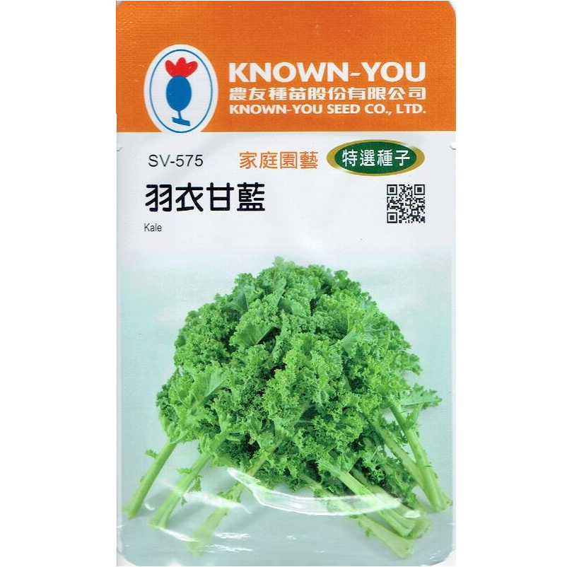 台灣種子-SV-575 羽衣甘藍