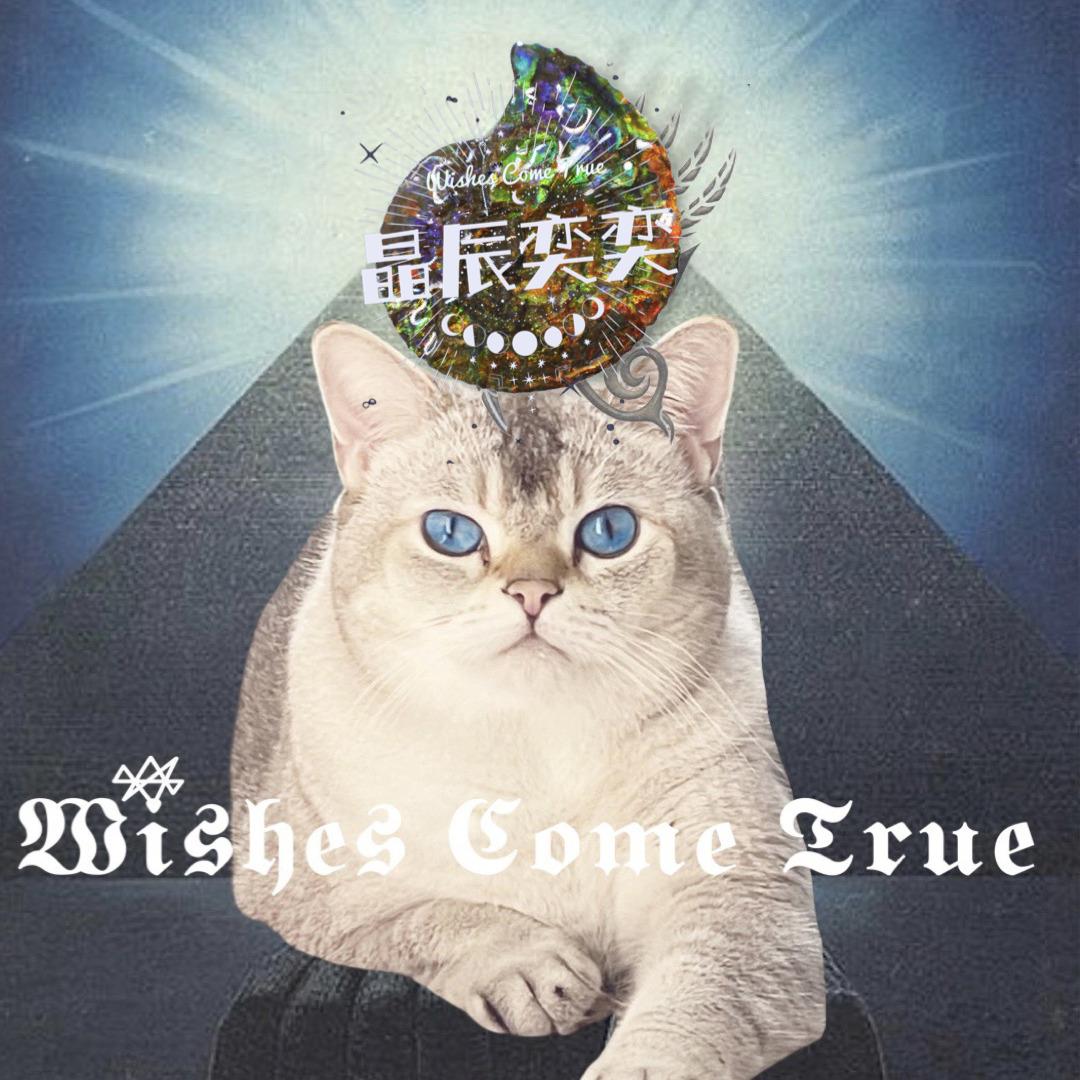 補差價🌟$100