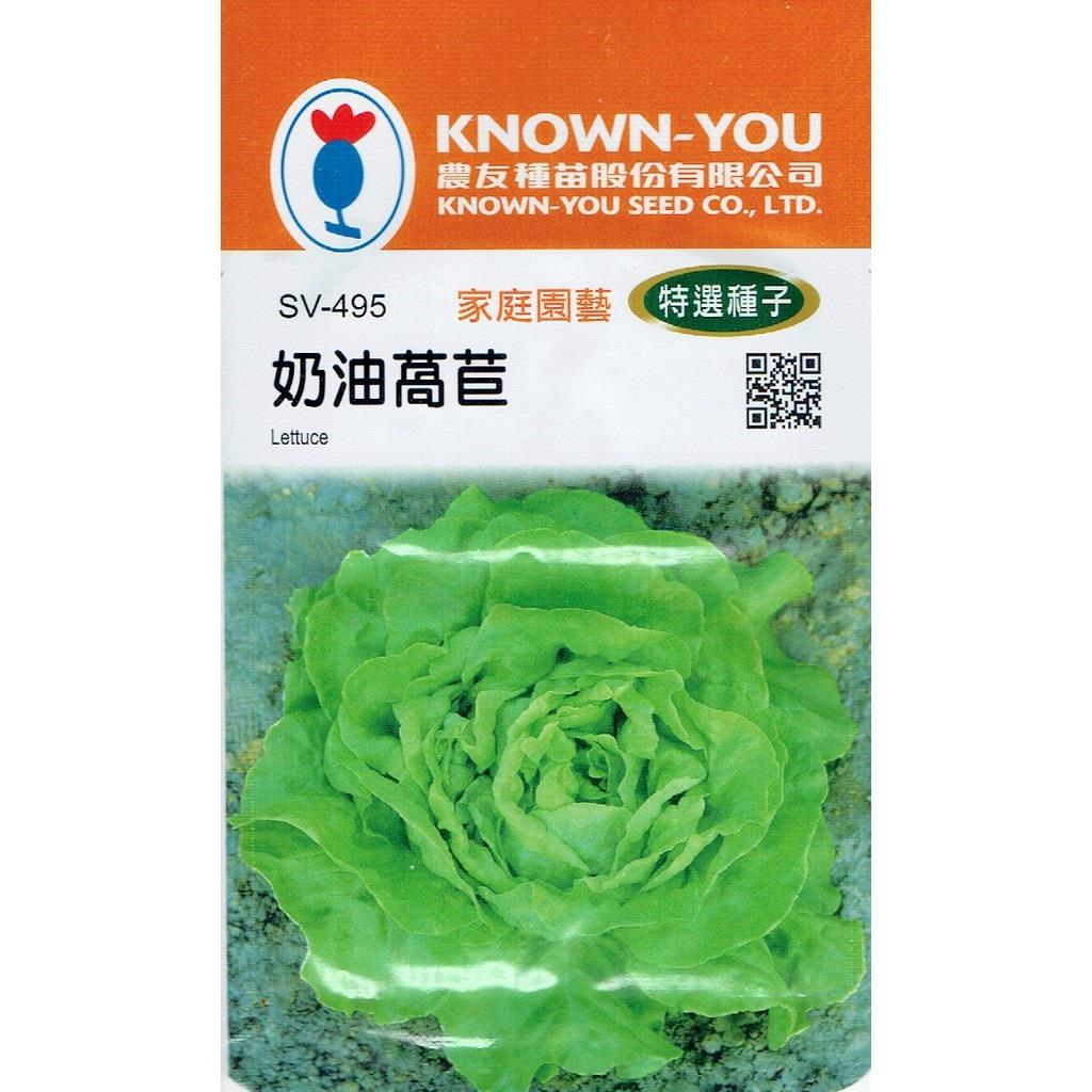 台灣種子-SV-495 奶油萵苣