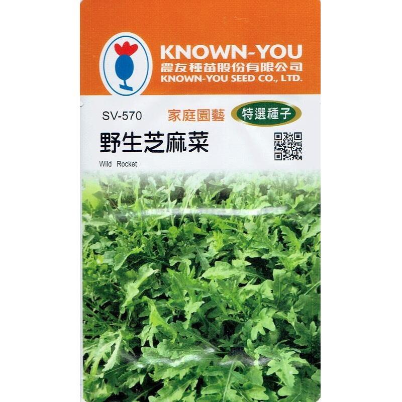 台灣種子-SV-570 野生芝麻菜