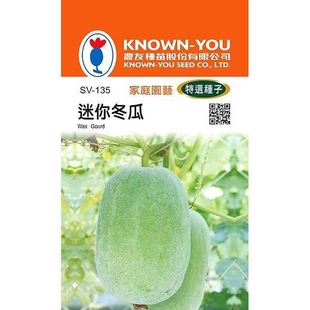 台灣種子-SV-135 迷你冬瓜