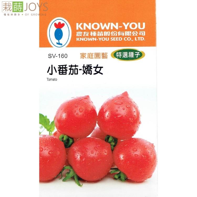 台灣種子-SV-160 小番茄「嬌女」