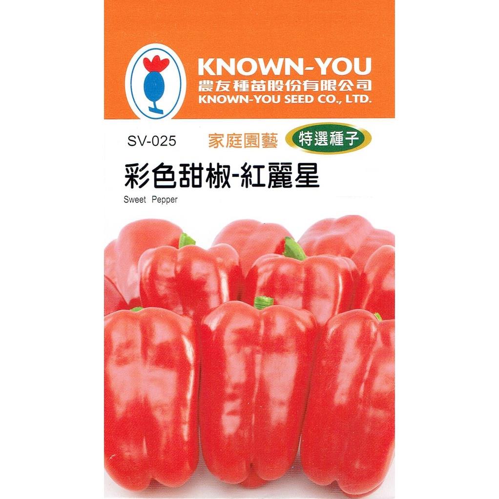 台灣種子-SV-025 彩色甜椒「紅麗星 」
