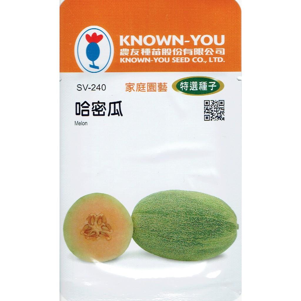台灣種子-SV-240-哈密瓜