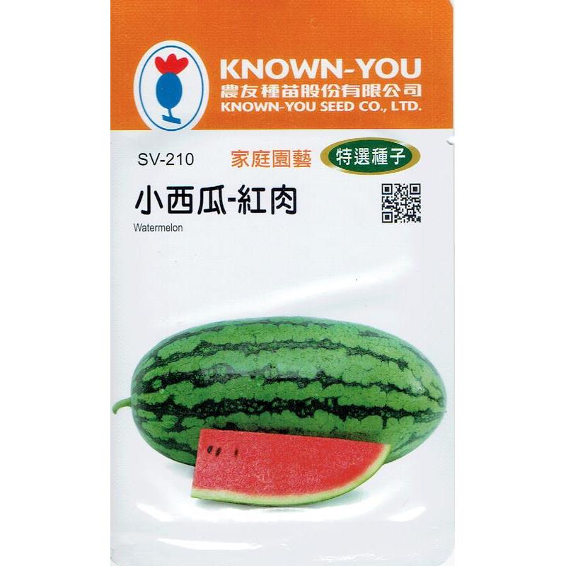 台灣種子-SV-210 小西瓜-紅肉