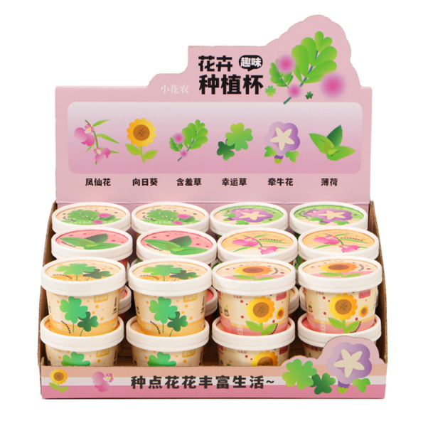 種植套裝-趣味種植杯-花卉系列(混款)-鳳仙花/向日葵/含羞草/幸運草/牵牛花/薄荷