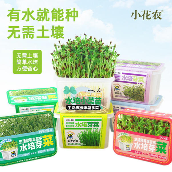 種植套裝-水培菜苗(空心菜/綠豆苗/四季相思豆/白豌豆/大麥若葉/生菜)