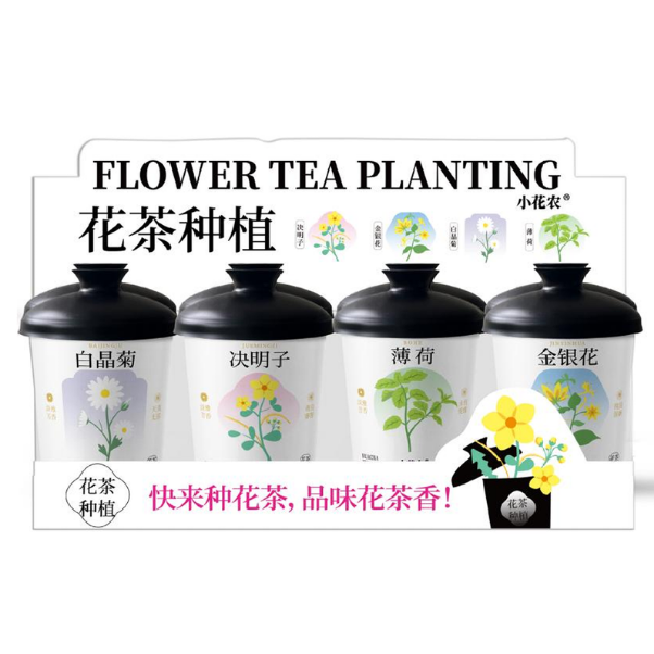 種植套裝-花茶種植盒(混款)-白晶菊/決明子/薄荷/金銀花