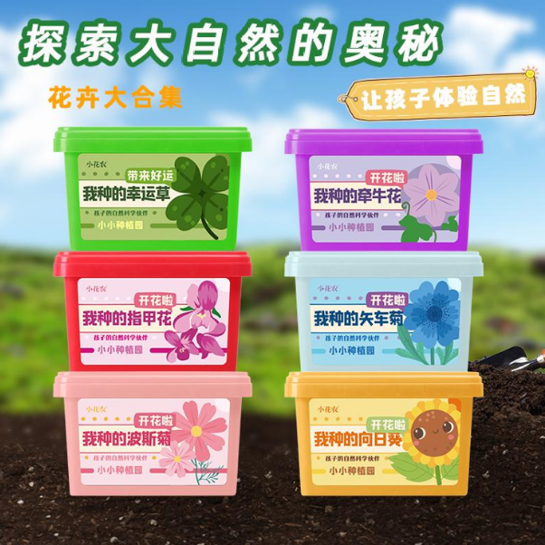 種植套裝-小種植園花卉系列(混款)-(牽牛花/波斯菊/矢車菊/幸運草/指甲花/向日葵)
