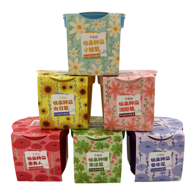 種植套裝-快來種花卉系列(混款)-(小雛菊/牽牛花/向日葵/四葉草/虞美人/波斯菊)