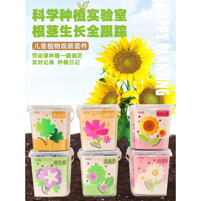種植套裝-種點花卉種植盆栽系列(混款)-(幸運草/波斯菊/含羞草/牵牛花/向日葵/小雛菊)