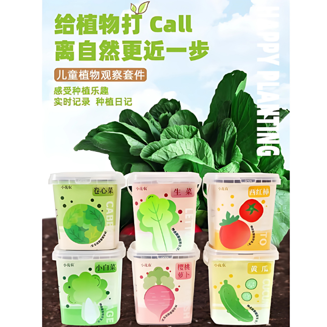 種植套裝-種點蔬菜種植盆栽系列(混款)-(櫻桃蘿蔔/生菜/卷心菜/小白菜/黃瓜/番茄)