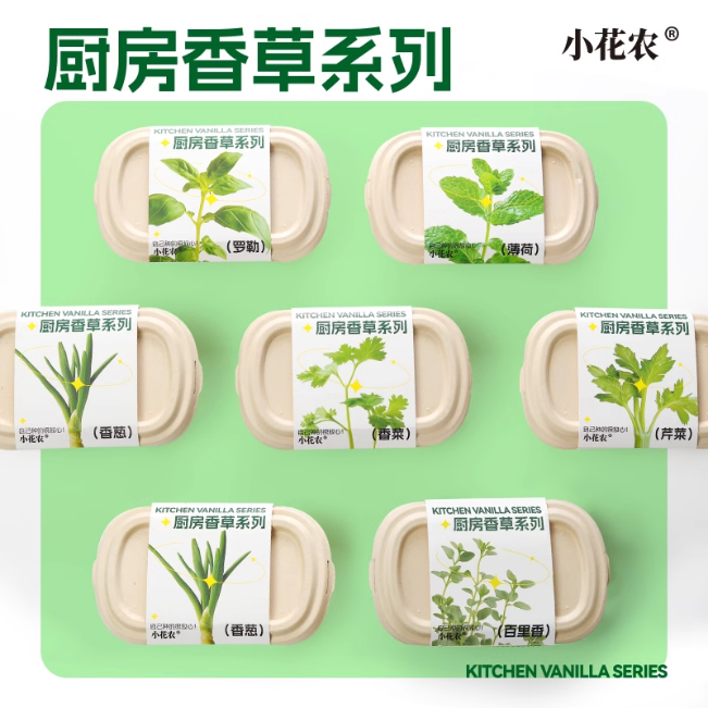 種植套裝-廚房香草種植盒(混款)-(薄荷/香蔥/芹菜/百里香/香菜/羅勒)