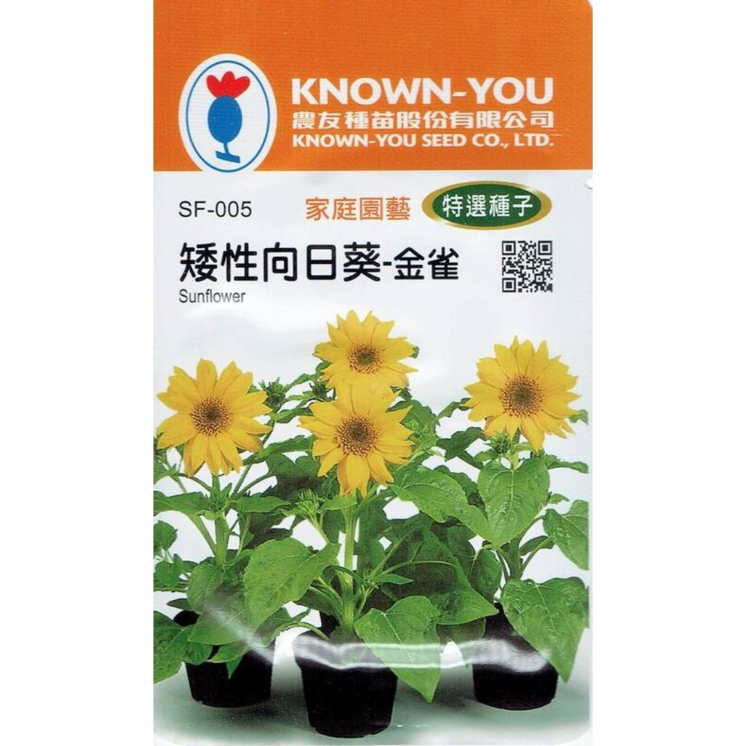台灣種子-SF-005 矮性向日葵「金雀」