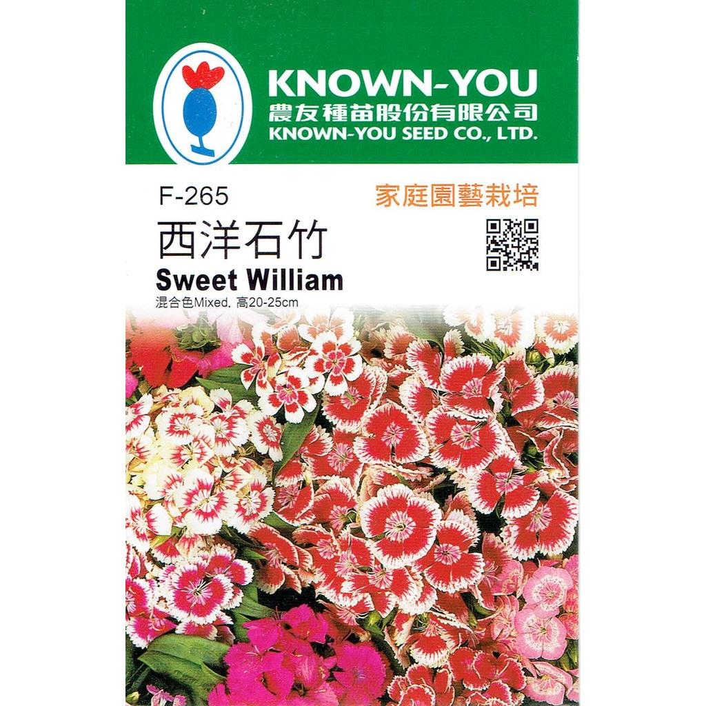 台灣種子-F-265 西洋石竹