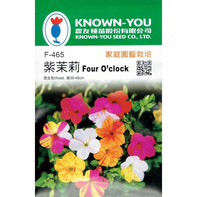 台灣種子-F-465 紫茉莉 (混色)
