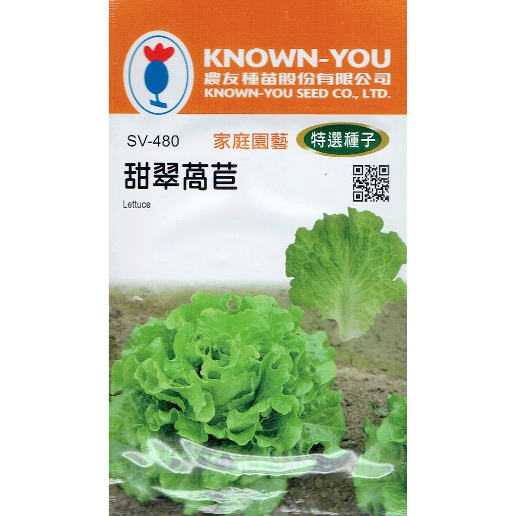 台灣種子-SV-480 甜翠萵苣