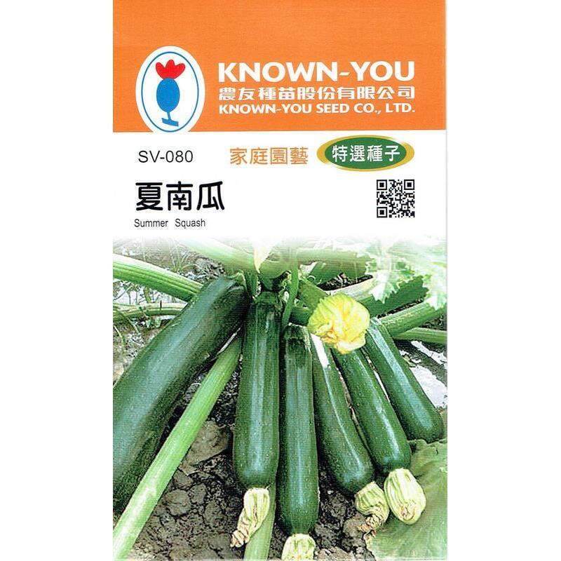台灣種子-SV-080 夏南瓜