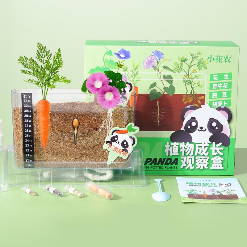 種植套裝-熊貓植物成長觀察盒(混款)-(花生/牵牛花/豌豆/胡蘿卜)