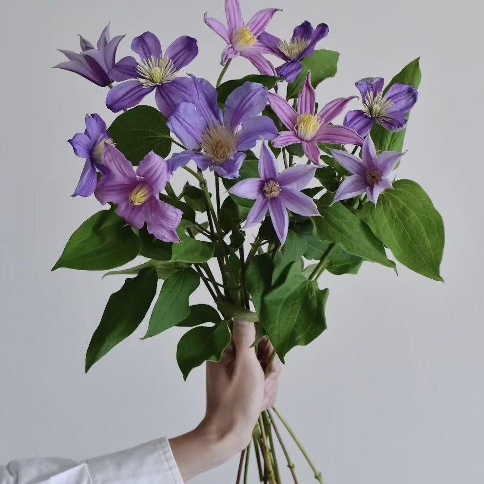 林淡幽　花生　共箱 LEGO® - Flowers 40646 水仙(花,居家飾品,花藝擺飾,模型,玩具