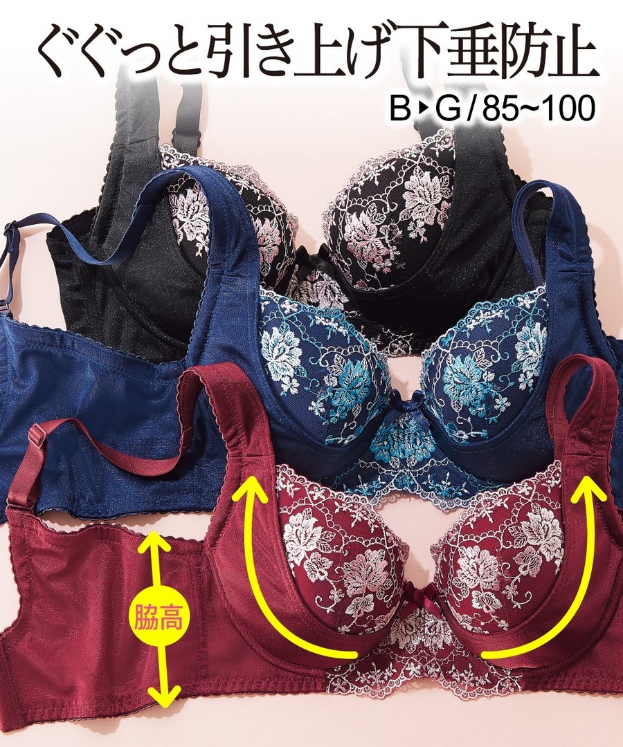 nissen 集中托高防下垂內衣 (日本女裝及大尺碼適用內衣) NSVSK0121D0001