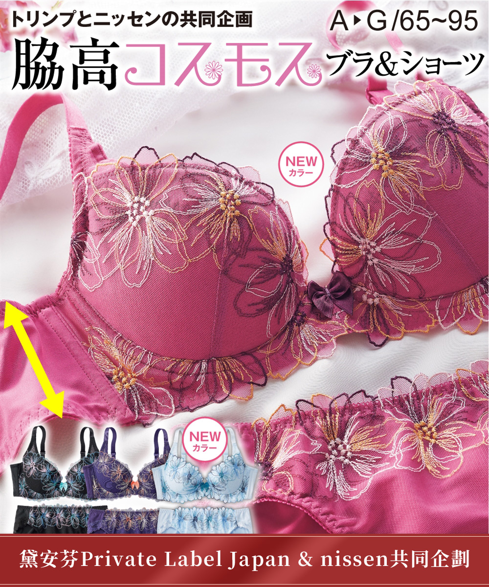 nissen 側高包覆波斯菊刺繡蕾絲內衣套裝(黛安芬 PRIVATE LABEL JAPAN 共同企劃) (日本女裝及大尺碼適用內衣) NSBKR0320D0004