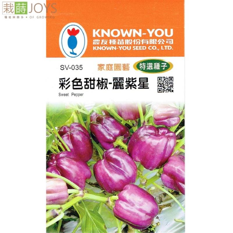 台灣種子-SV-035 彩色甜椒-麗紫星_0